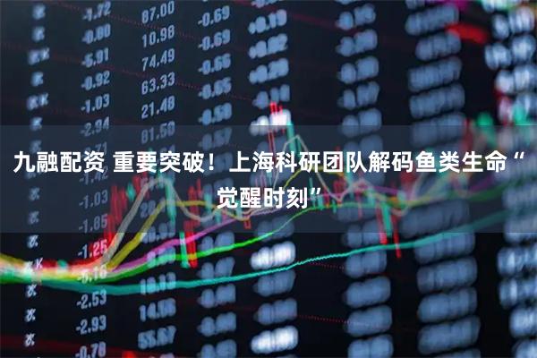 九融配资 重要突破！上海科研团队解码鱼类生命“觉醒时刻”