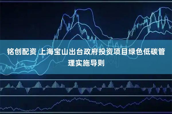 铭创配资 上海宝山出台政府投资项目绿色低碳管理实施导则