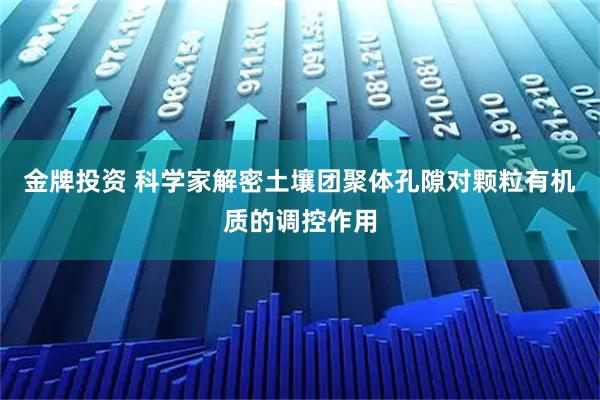 金牌投资 科学家解密土壤团聚体孔隙对颗粒有机质的调控作用