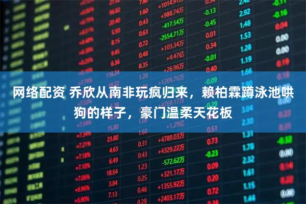 网络配资 乔欣从南非玩疯归来，赖柏霖蹲泳池哄狗的样子，豪门温柔天花板